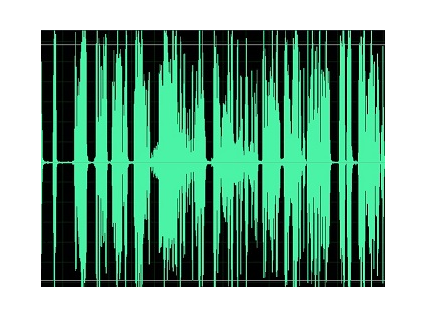 监狱语音通讯声纹系统